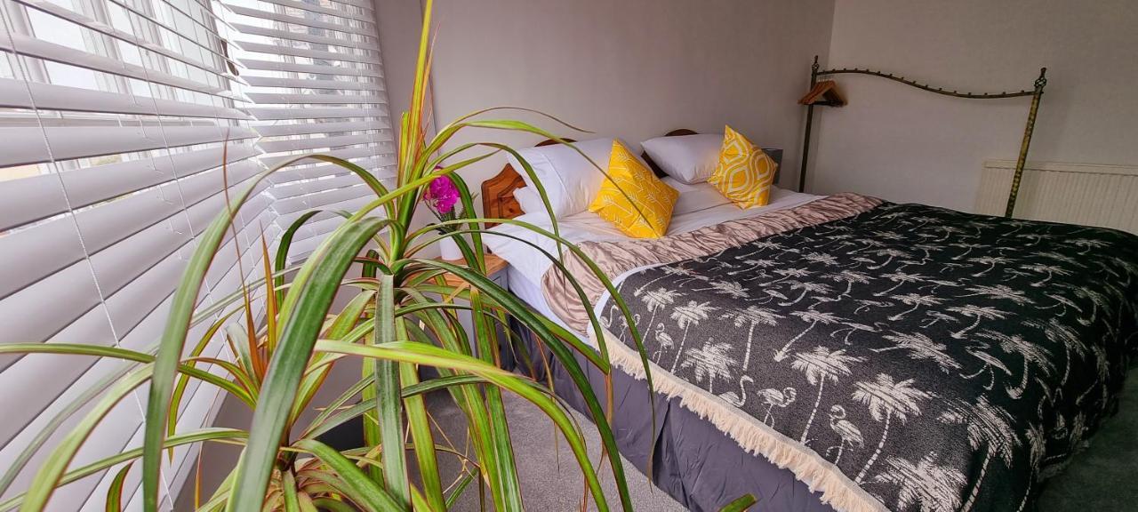 Hidden Gem Near The Beach With Pool Table New Quay Esterno foto